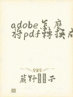 adobe怎么将pdf转换成word
