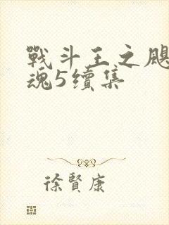 战斗王之飓风战魂5续集