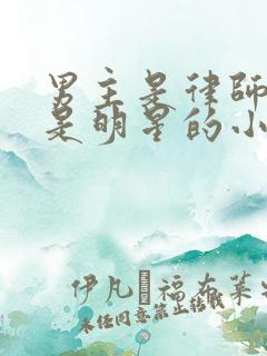 男主是律师女主是明星的小说