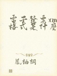 电子发票xml格式是什么样的