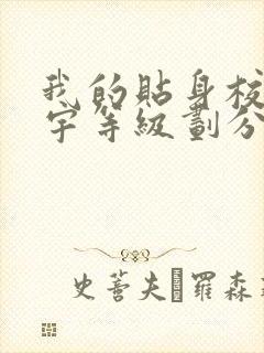 我的贴身校花唐宇等级划分