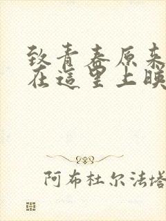 致青春原来你还在这里上映时间