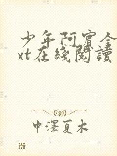 少年阿宾全集txt在线阅读