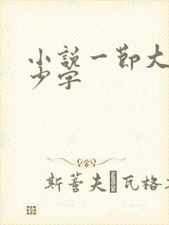 小说一节大概多少字