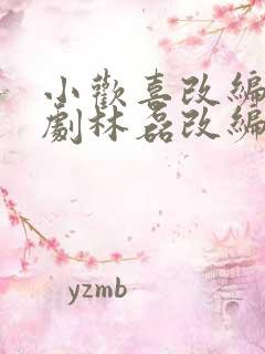 小欢喜改编影视剧林磊改编