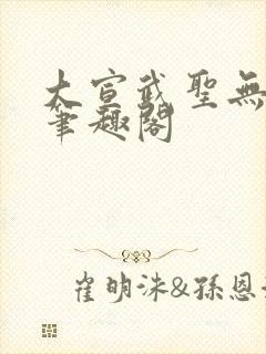 大宣武圣无删减笔趣阁