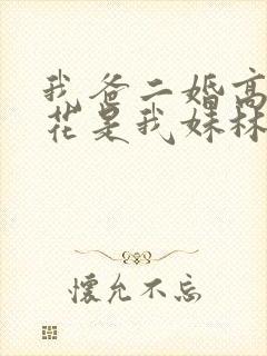 我爸二婚高冷校花是我妹林婉冰