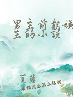 男主前期嫌弃女主的小说