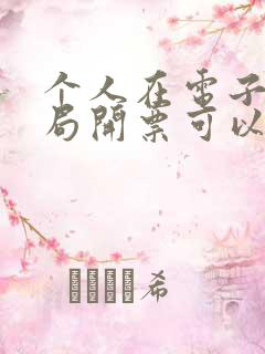 个人在电子税务局开票可以开多少