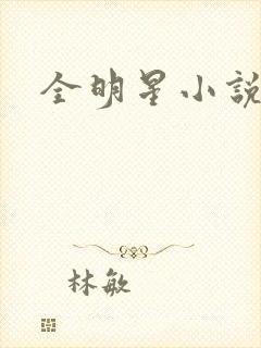 全明星小说
