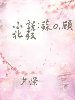 小说:苏o,顾北弦