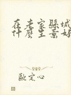 在老家县城做点什么生意好