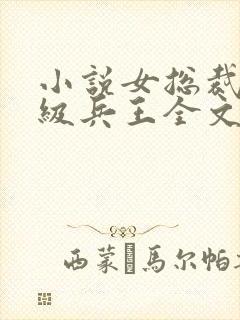 小说女总裁的超级兵王全文阅读