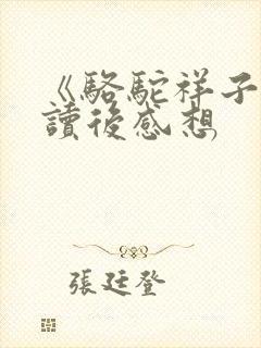 《骆驼祥子》的读后感想