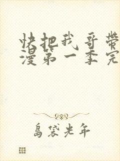 快把我哥带走动漫第一季完整版