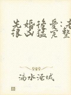 先婚后爱:老公很凶猛完整版免费阅读