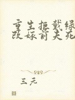 重生拒戴绿帽我改嫁前夫死对头