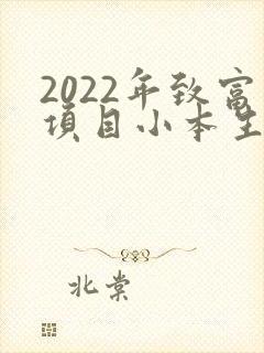 2022年致富项目小本生意