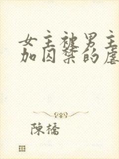 女主被男主qj加囚禁的虐文