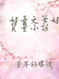 好看文笔好的高质量小说