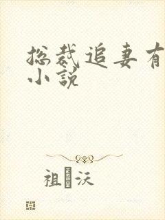 总裁追妻有点忙小说