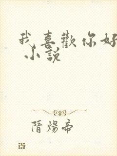 我喜欢你好多年 小说