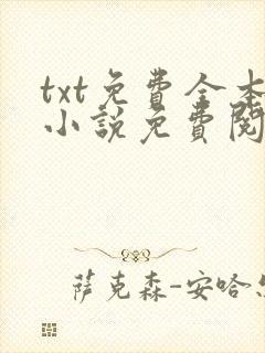txt免费全本小说免费阅读器