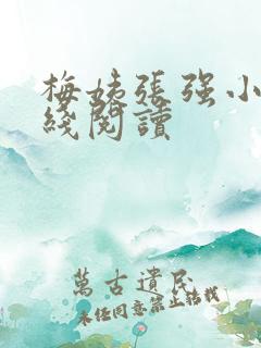 梅姨张强小说在线阅读