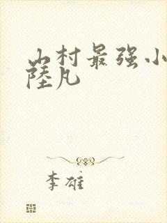 山村最强小神医陆凡