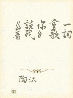 《说你会一直爱着我》歌词