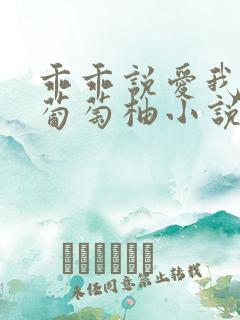 乖乖说爱我by葡萄柚小说免费阅读