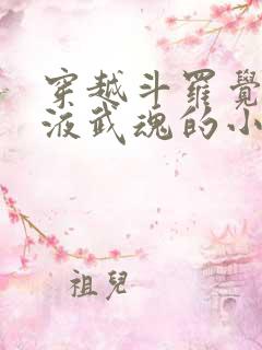 穿越斗罗觉醒血液武魂的小说