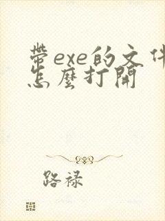 带exe的文件怎么打开