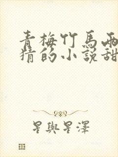 青梅竹马两小无猜的小说甜宠文