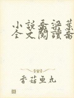 小说乔梁叶心仪全文阅读乔