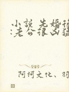 小说 先婚后爱:老公很凶猛