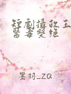 短剧摄政王妃她医毒双绝