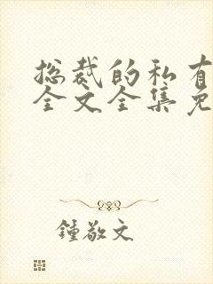 总裁的私有宝贝全文全集免费