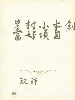 农村小本创业致富好项目