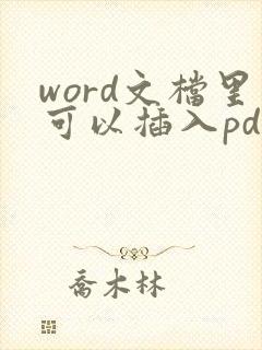 word文档里可以插入pdf吗