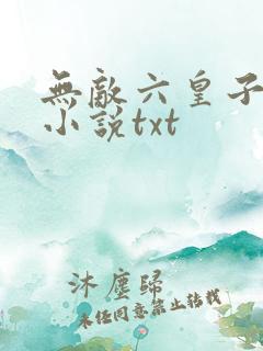 无敌六皇子云铮小说txt
