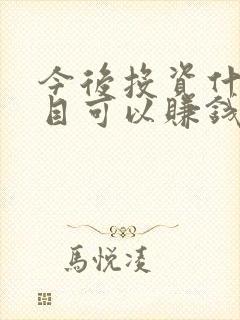 今后投资什么项目可以赚钱