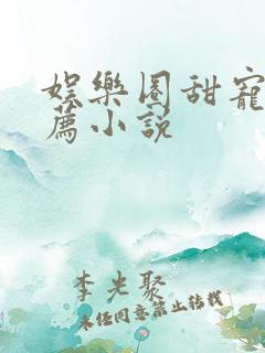 娱乐圈甜宠文推荐小说