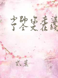 少帅你老婆又跑了全文在线阅读