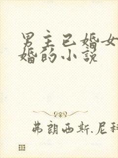 男主已婚女主未婚的小说