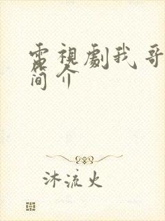 电视剧我哥我嫂简介