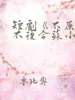 短剧《不原谅,不复合苏小姐独美》