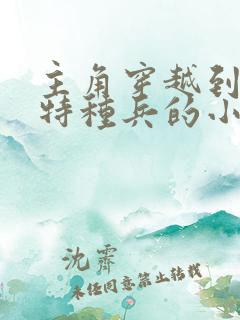 主角穿越到我是特种兵的小说