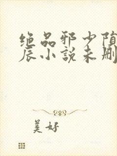 绝品邪少陨落星辰小说未删版下载txt