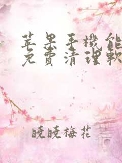 苹果手机能用的免费清理软件